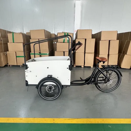 Versatile Electric Cargobike Bakfiet with Exceptional Load Capacity for Families 